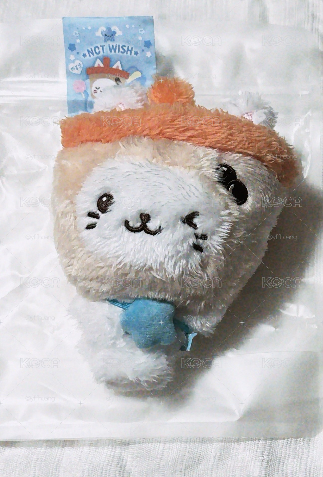 原皮奶茶貓