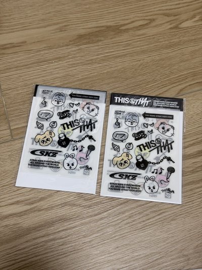 現貨 SKZ THIS & THAT 回歸快閃 周邊