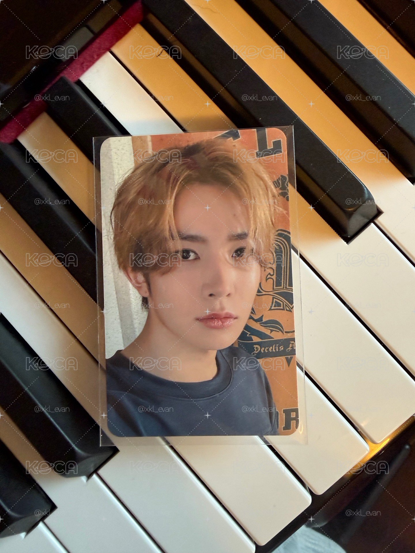 wtl高陽zone🐹EVAN