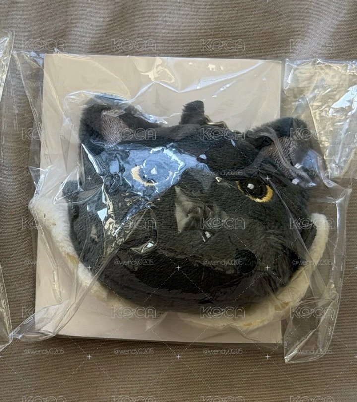 🐈‍⬛冬日娃