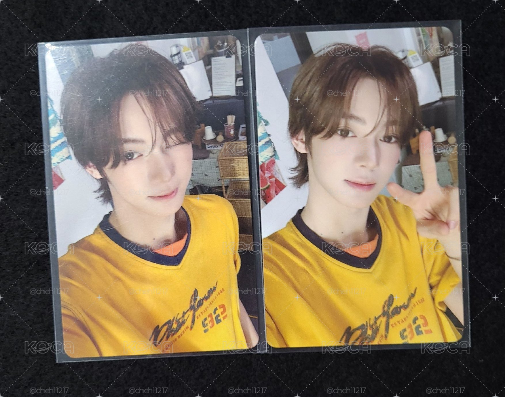 animate hmv4