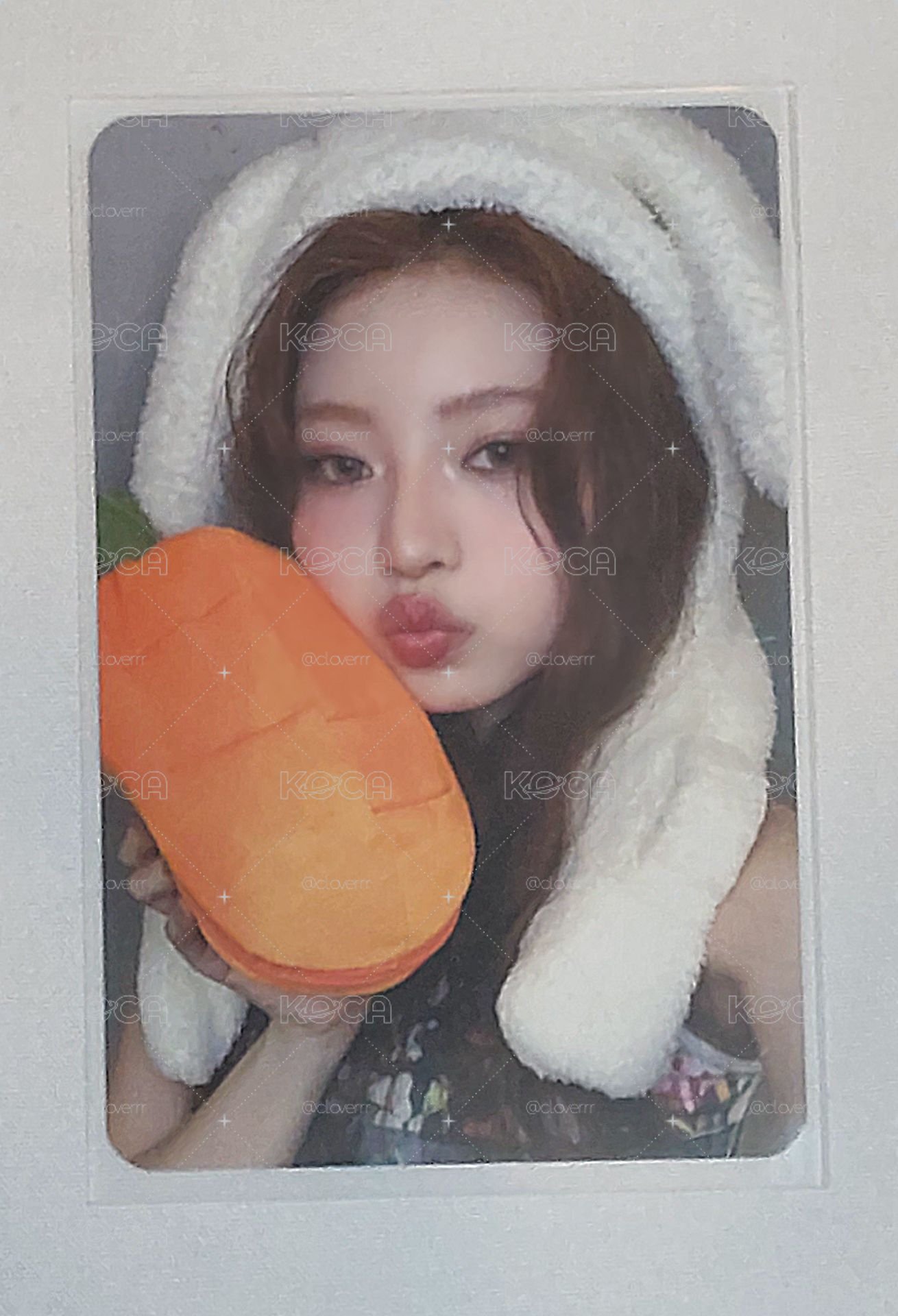 ms 兔子haum