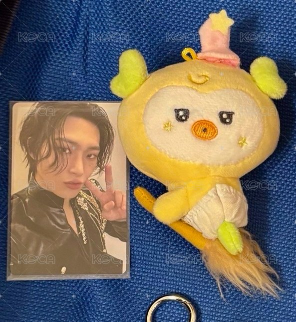 🧹🐤