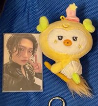 🧹🐤