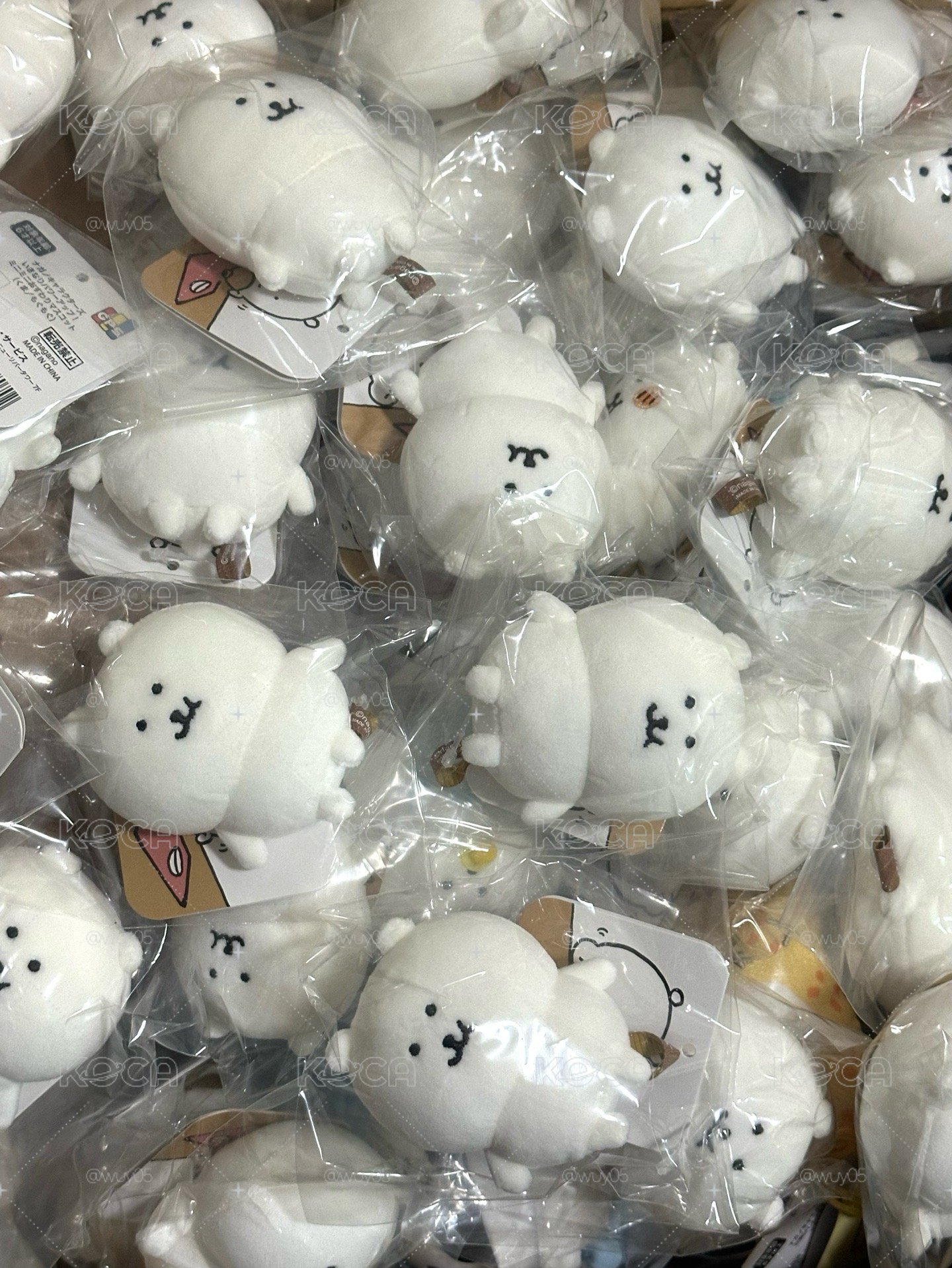咀嚼熊（現貨）