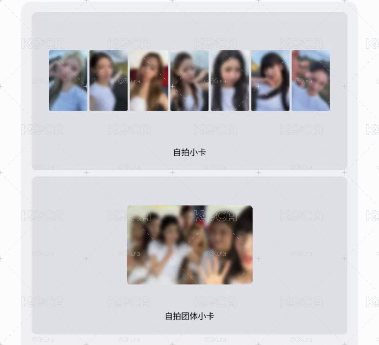 預購｜wvs SPECIAL FAN PARTY｜套卡