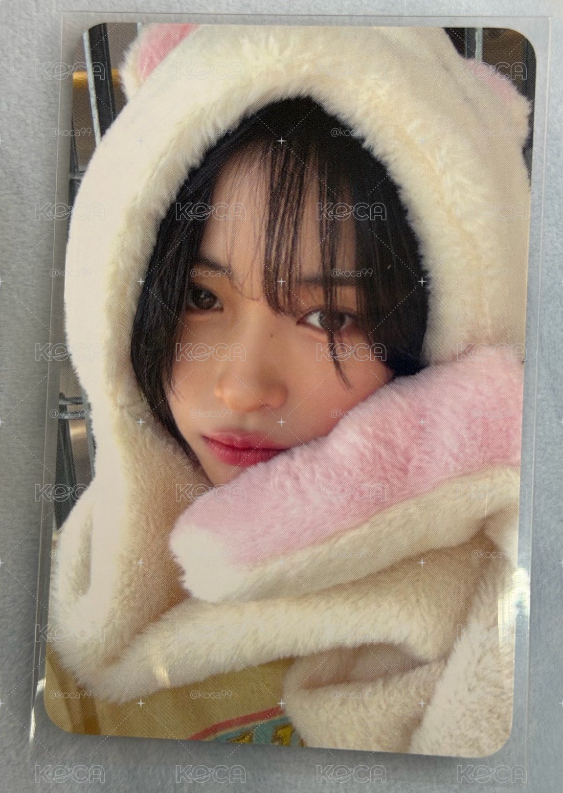 白熊🐻‍❄️+斗篷🐱