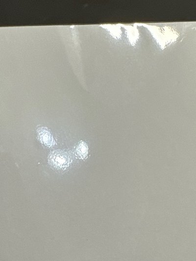 晨曦公主 花とゆめ附錄