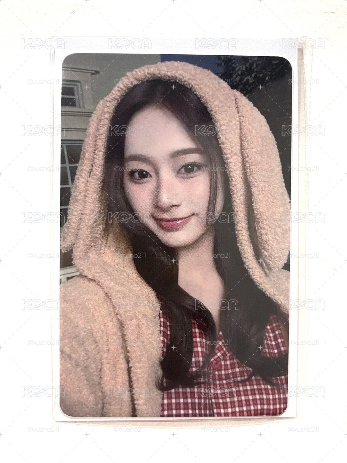 狗狗子🐶冬日快閃滿額