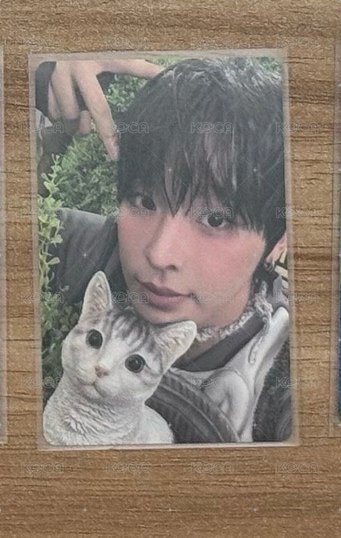 🐈‍⬛color jc