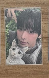 🐈‍⬛color jc
