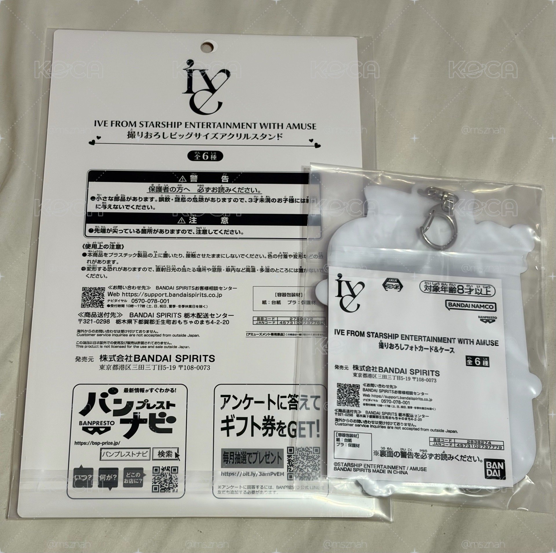 《在台現貨！演唱會前可拿到》秋天萬代大立牌 卡套