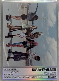 TELECA 收藏卡 MEOVV-TE-040團卡