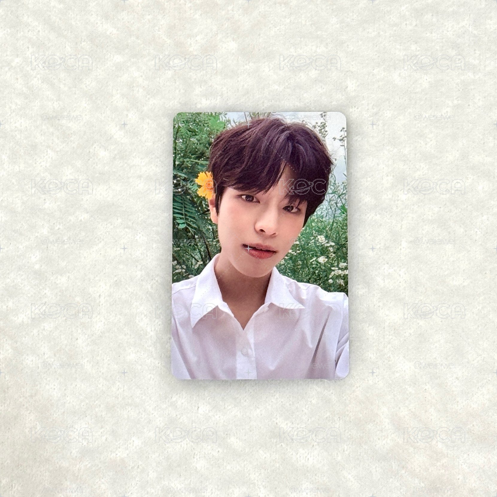 Stray kids 金昇玟