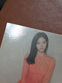 （圖二三）