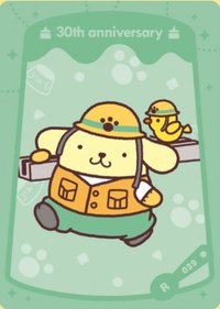 30th珍藏卡 R卡 039 隨機卡 