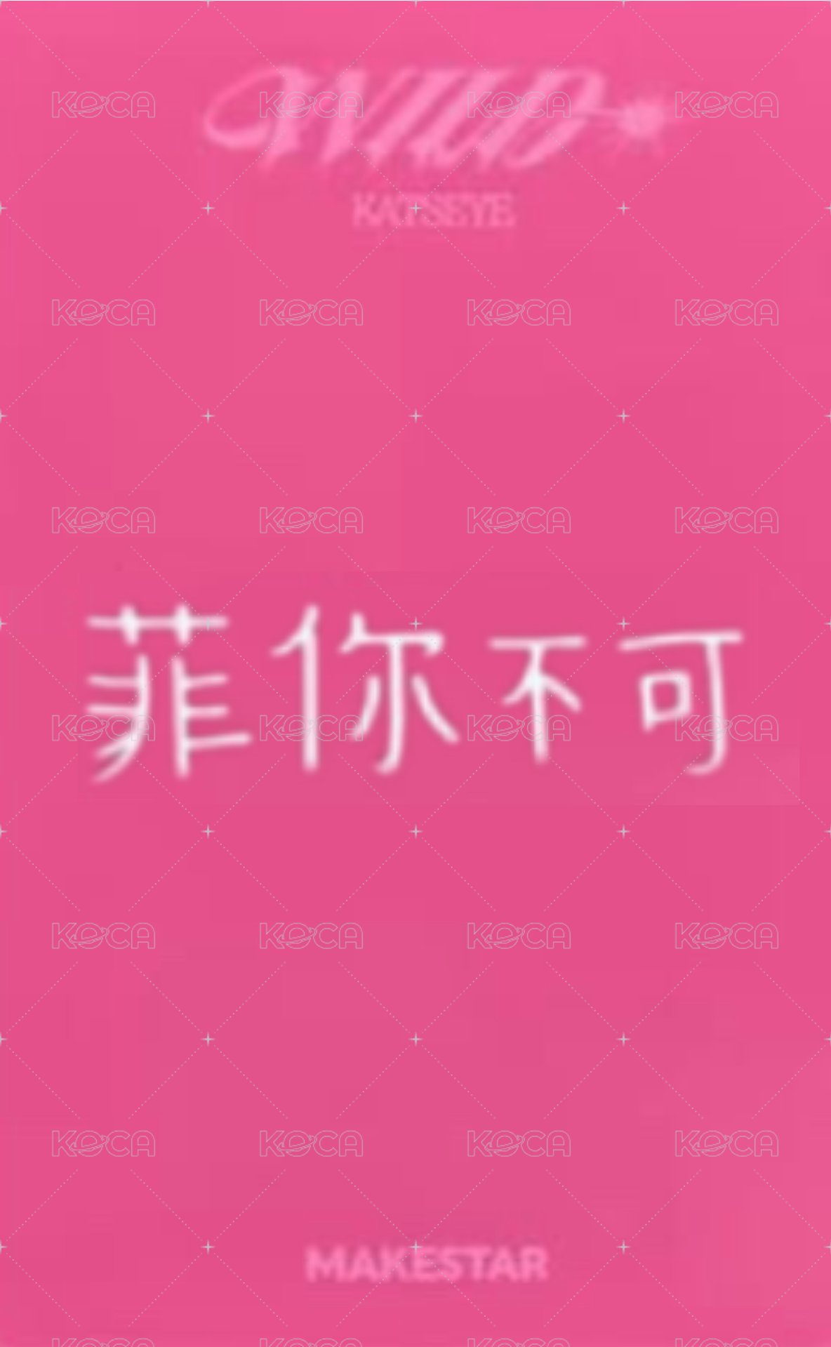 WILD ms 特典卡  背面