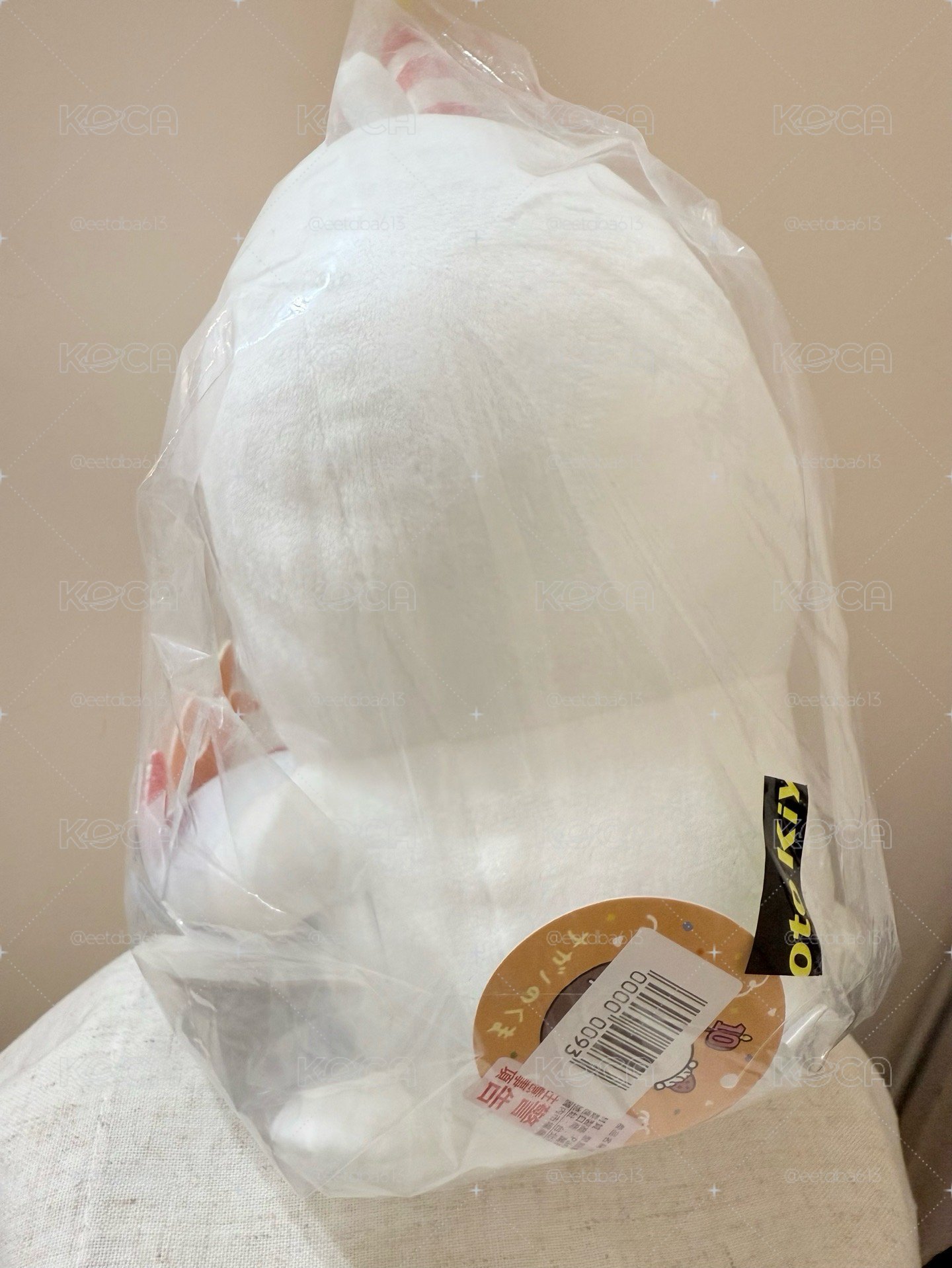 Nagano白熊 十週年生日景品