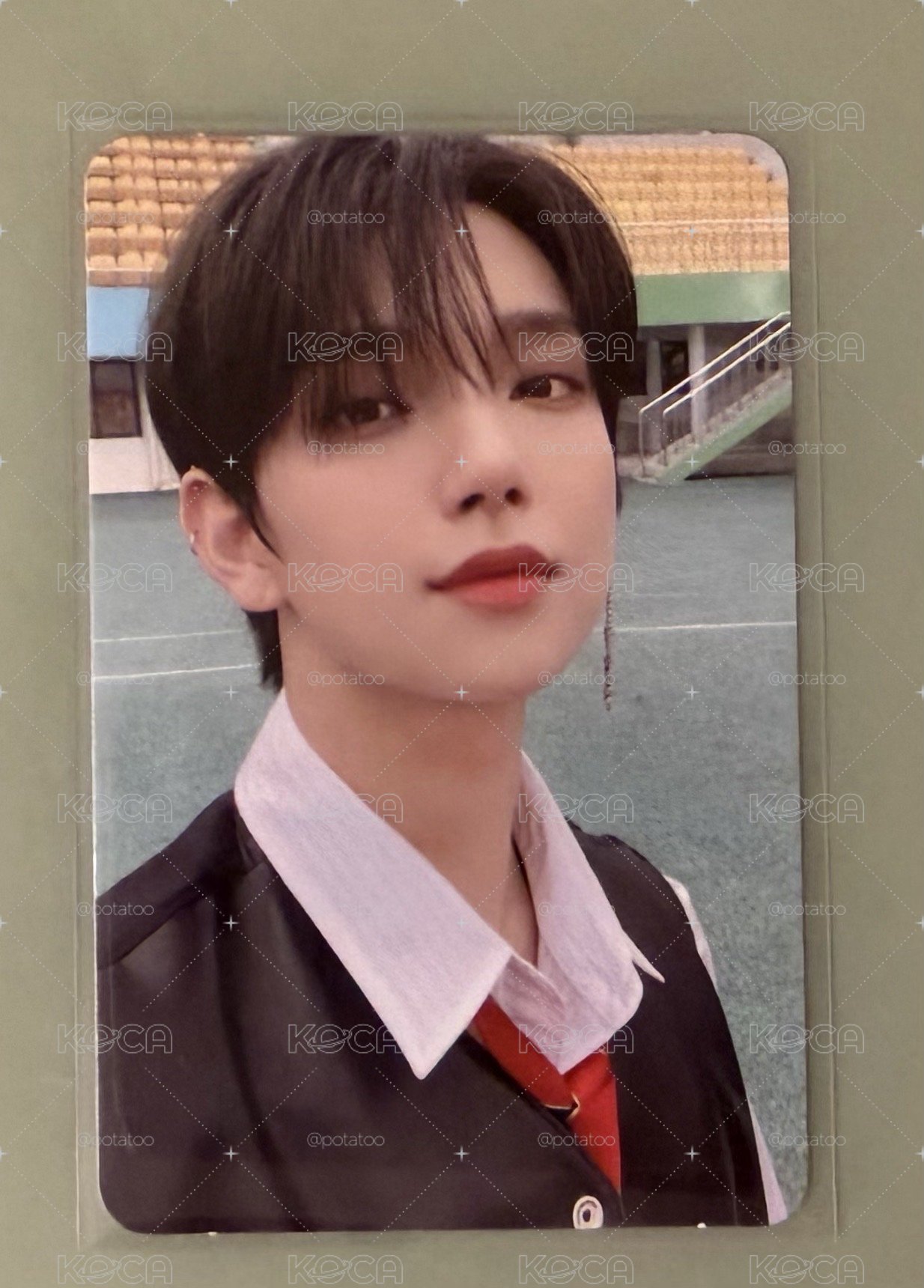 Joshua 貴婦刷