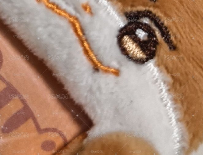 小鼠拉米🐿️