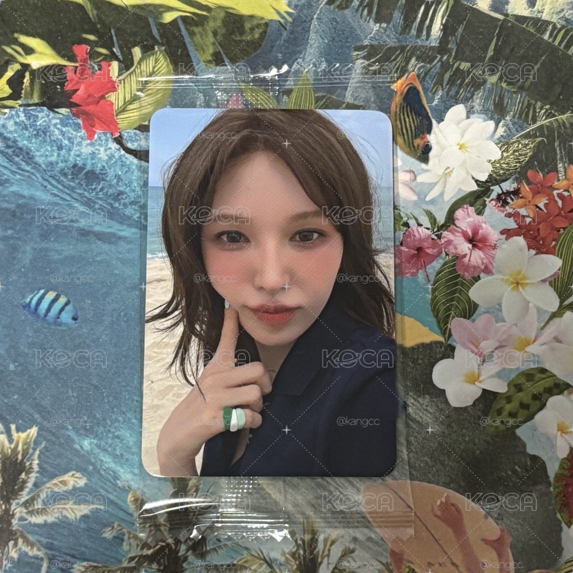 Red Velvet Velvet Summer K4特典卡