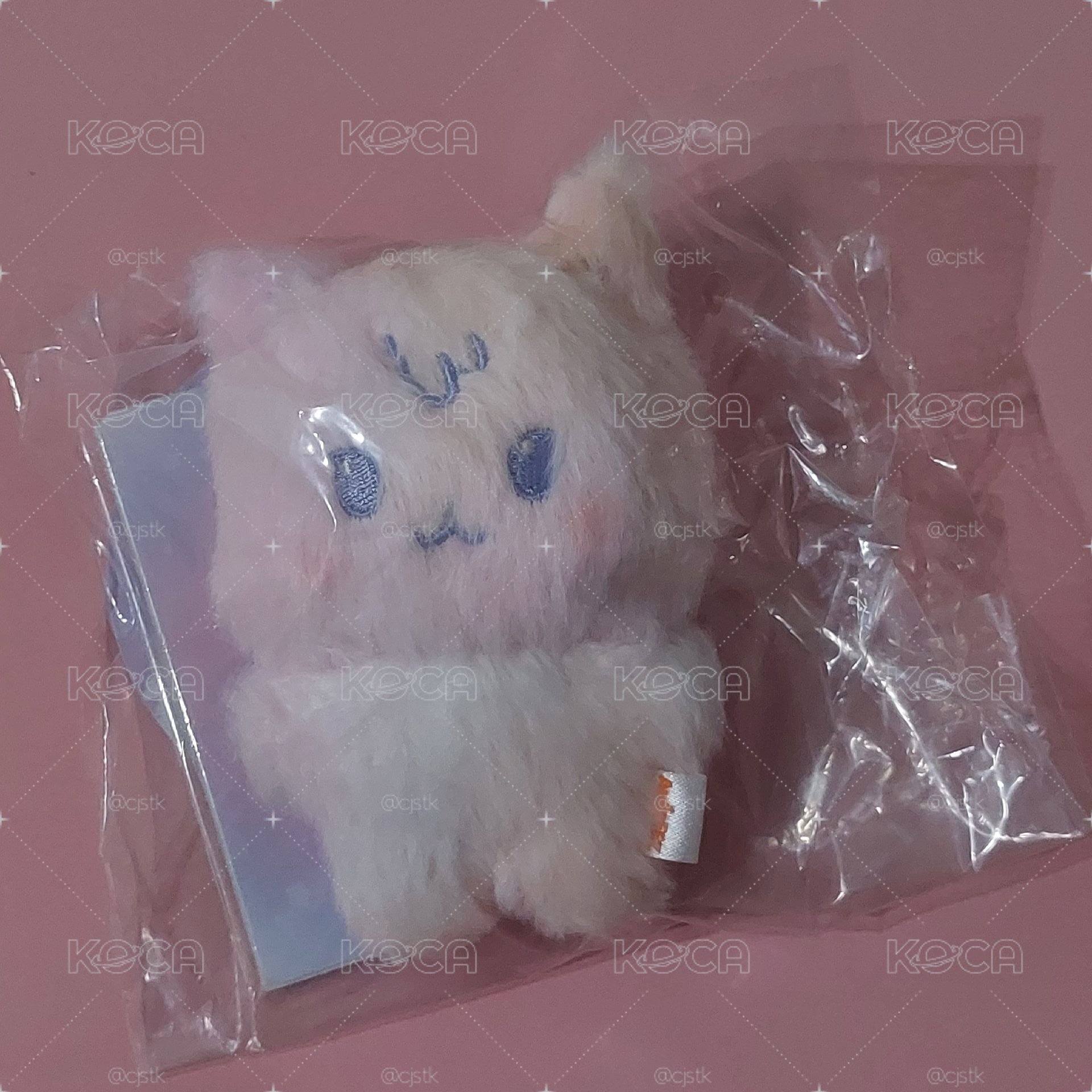 aniteez in color 崔傘 混色娃 彩色收納箱