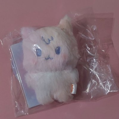 aniteez in color 崔傘 混色娃 彩色收納箱