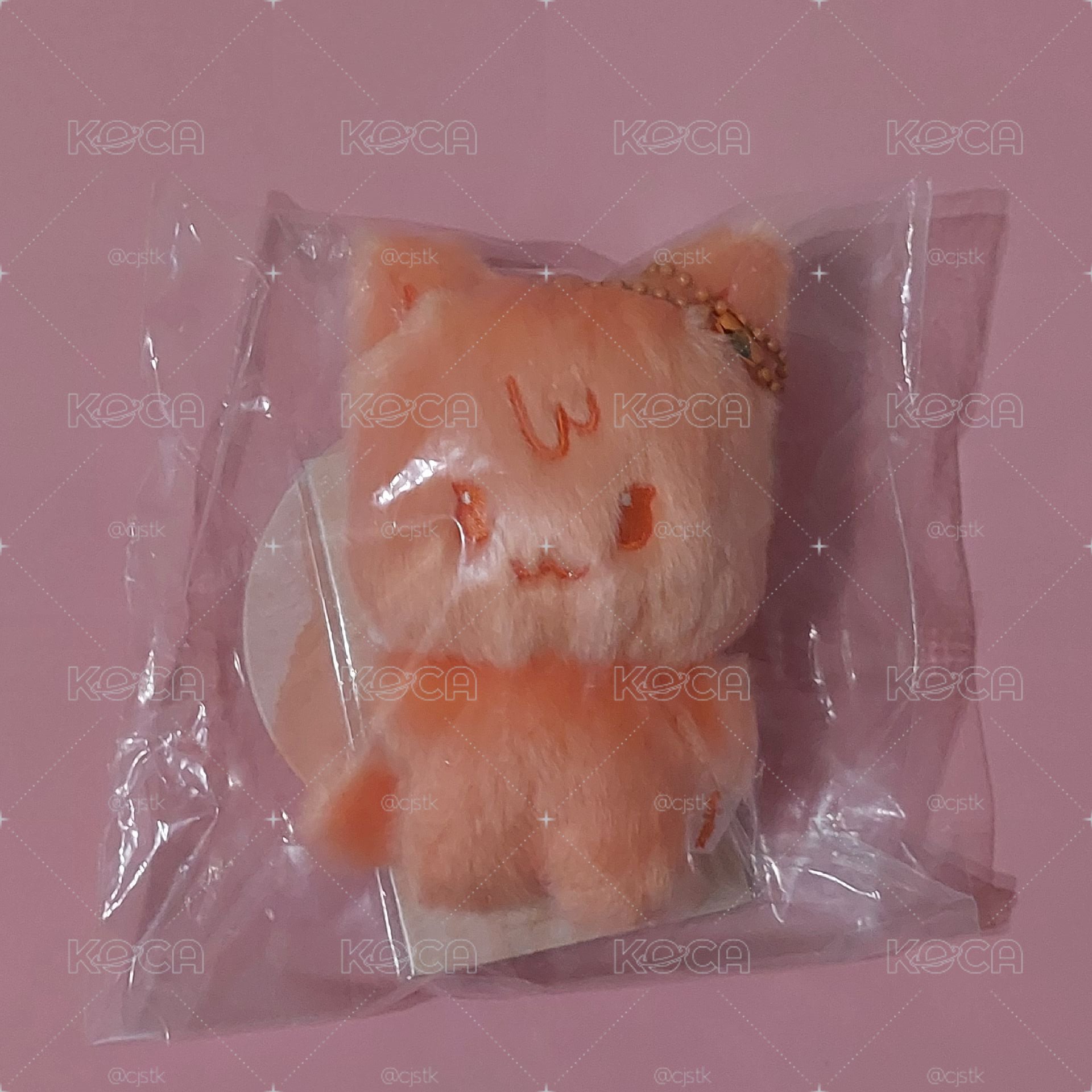 aniteez in color 崔傘 混色娃 彩色收納箱