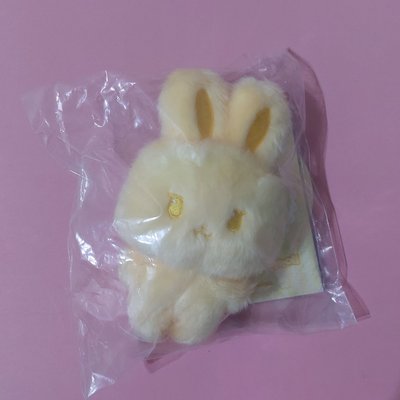 aniteez incolor 星化 異色娃 收納箱