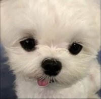 Aw