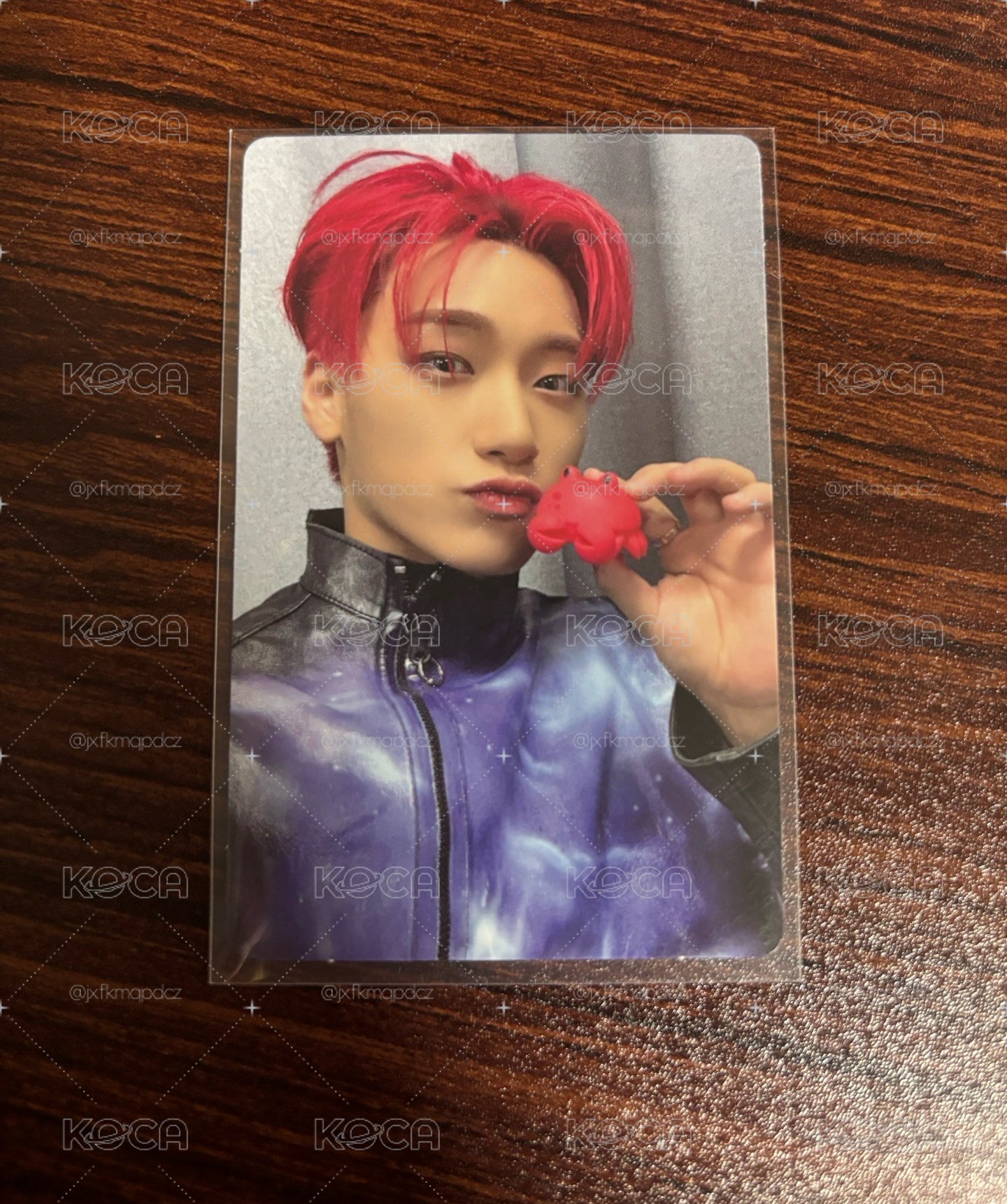 Will hello82 POP-UP 特典卡 Ocean Friends ver.