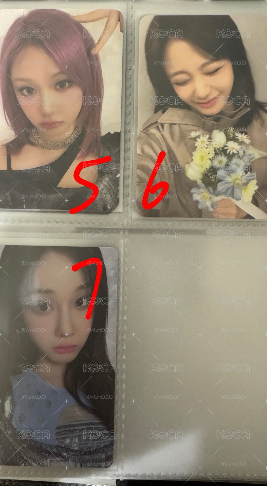 Pharita 小卡