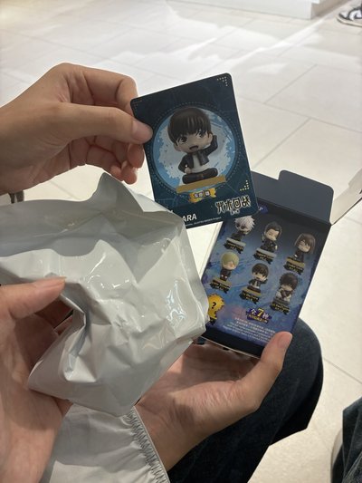 灰原熊 盲盒 未拆