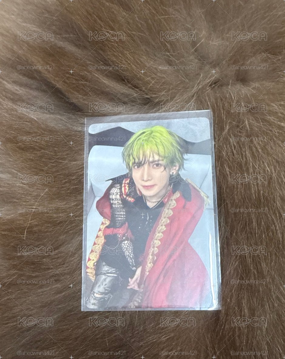 坐坐尚