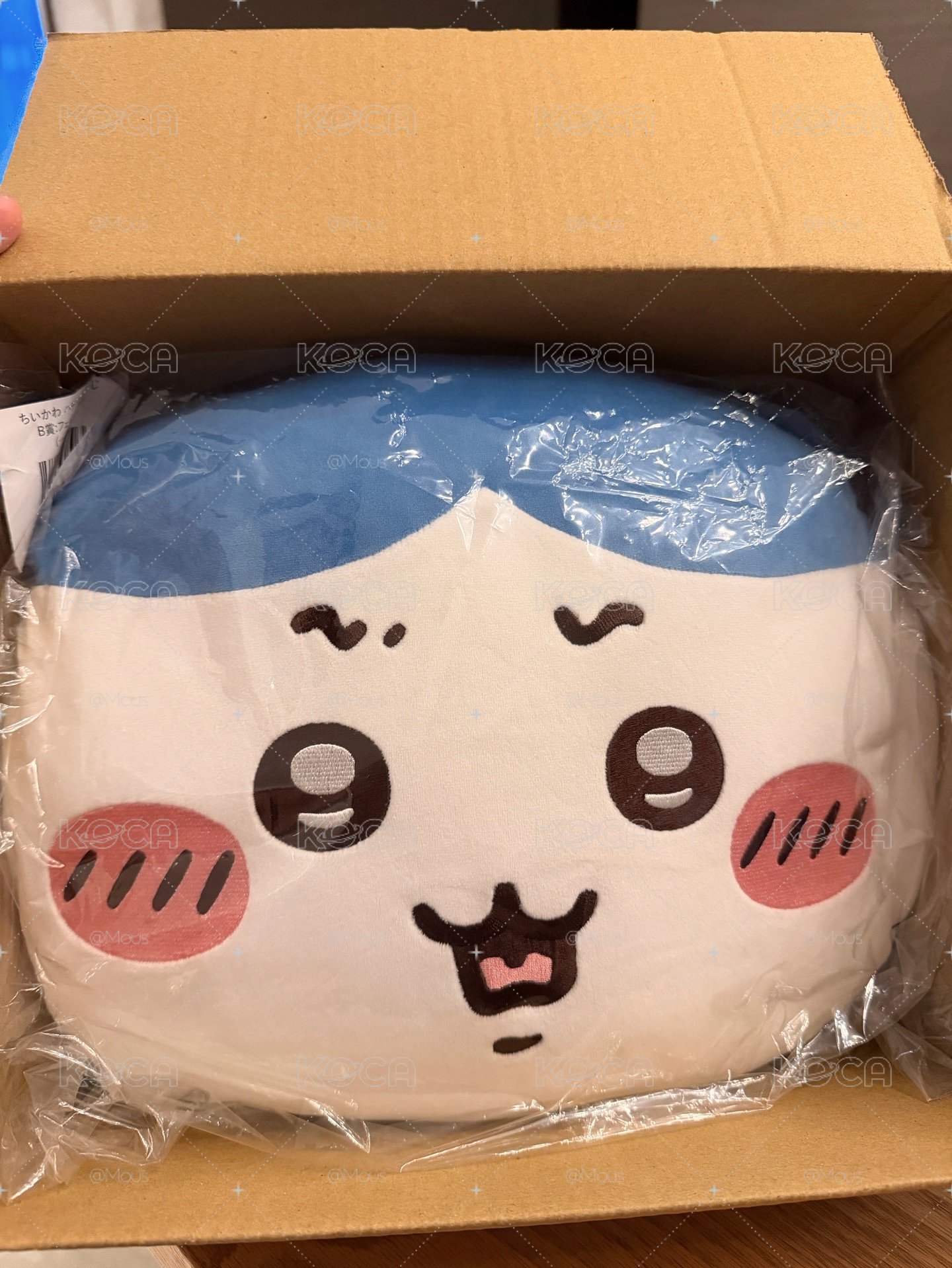 小八一番賞B賞抱枕