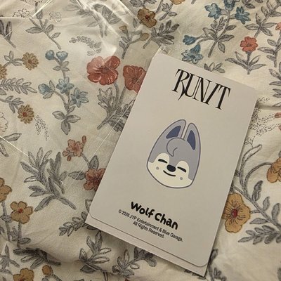 skz run it 世巡 燦 側背包附卡