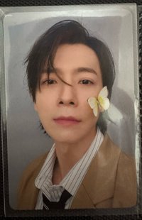 東海 正臉蝴蝶