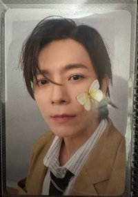 東海 側臉蝴蝶