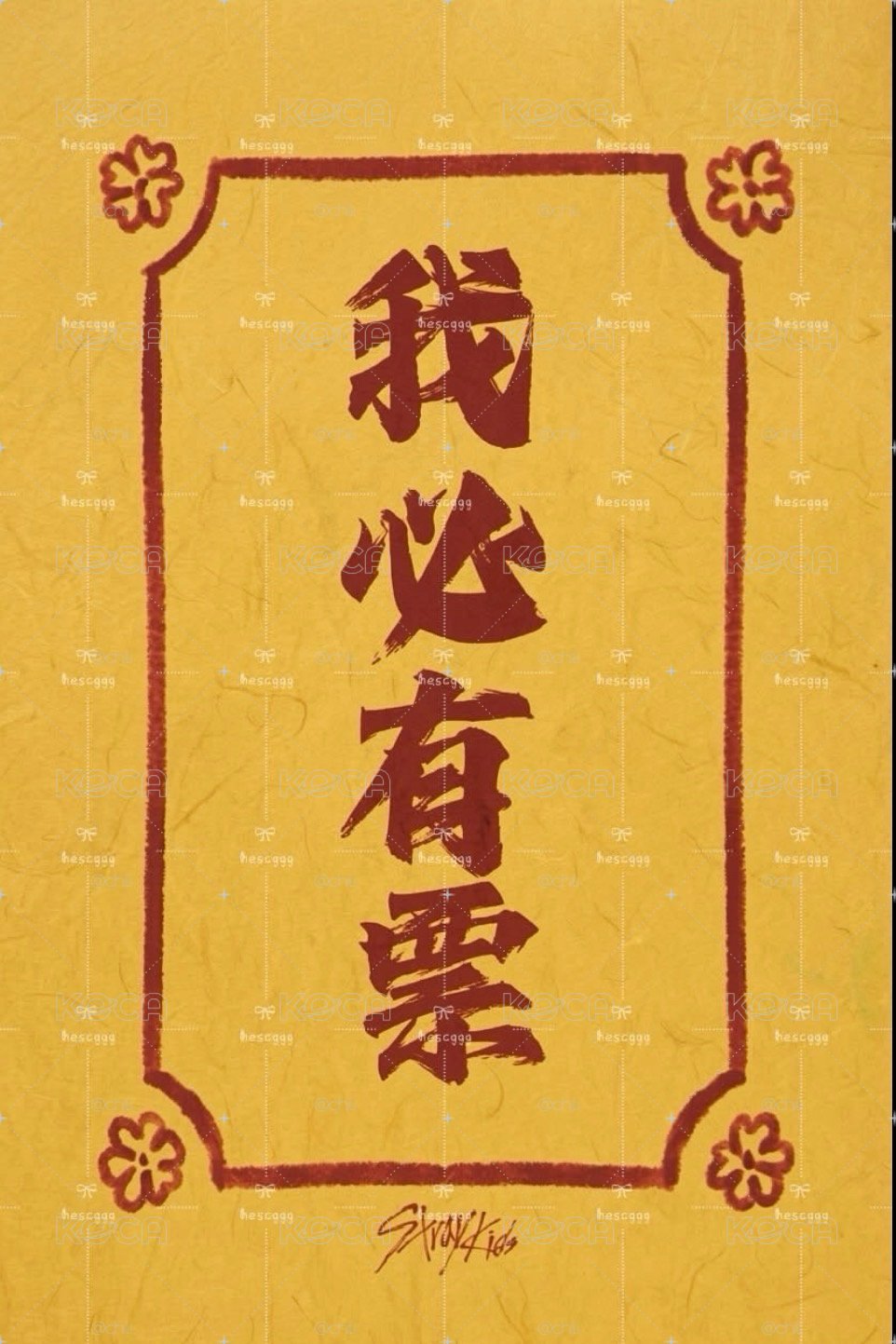 小卡盲包
