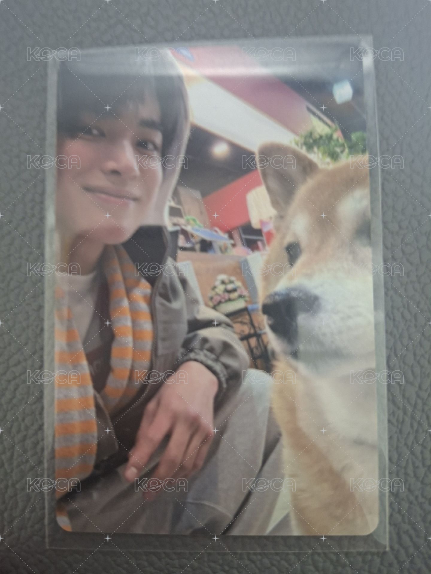 狗狗安（綁400）