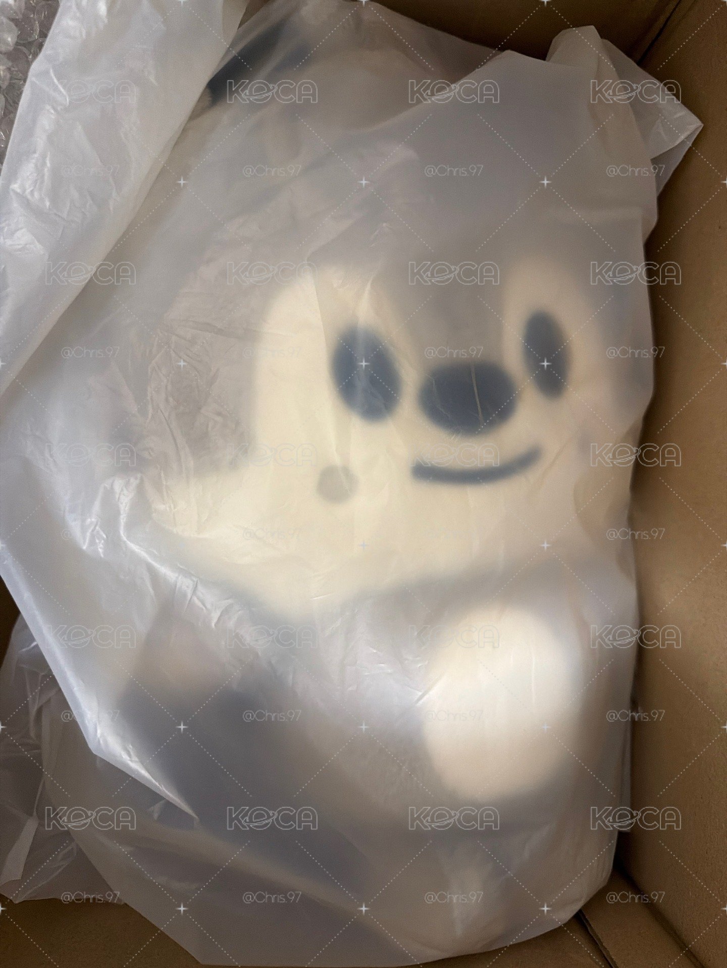 6FM背包燦