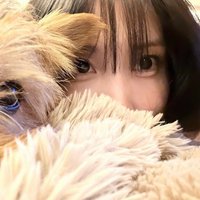 盤