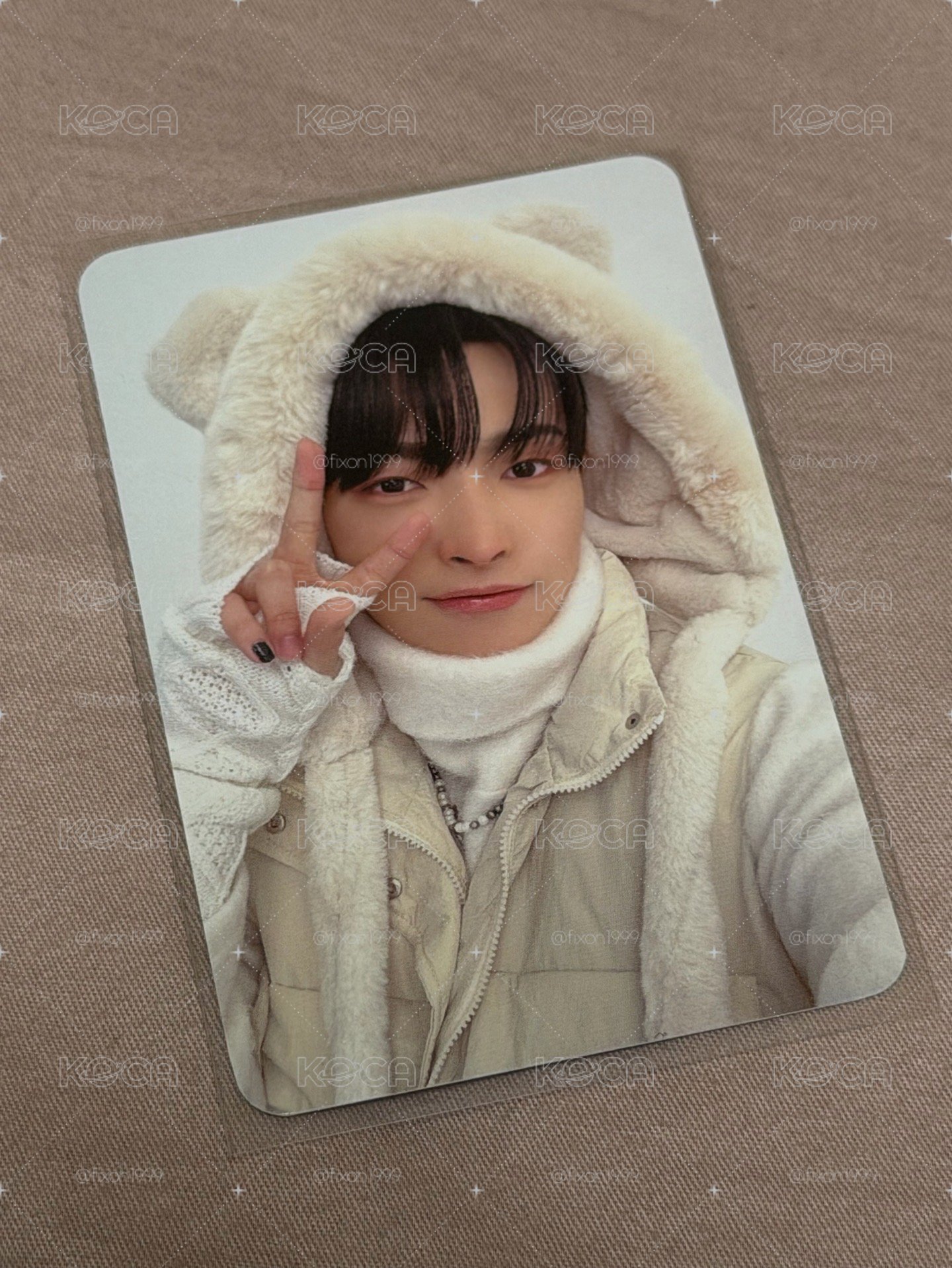 冬日小熊中