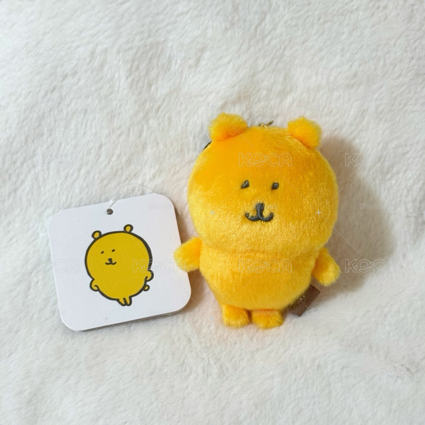 ꒰ 黃熊 ꒱