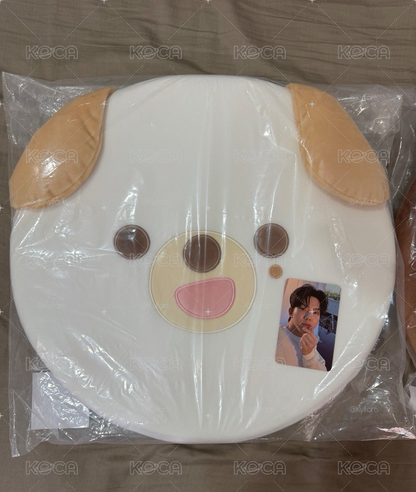 Day6 飯咪 坐墊含卡 Don