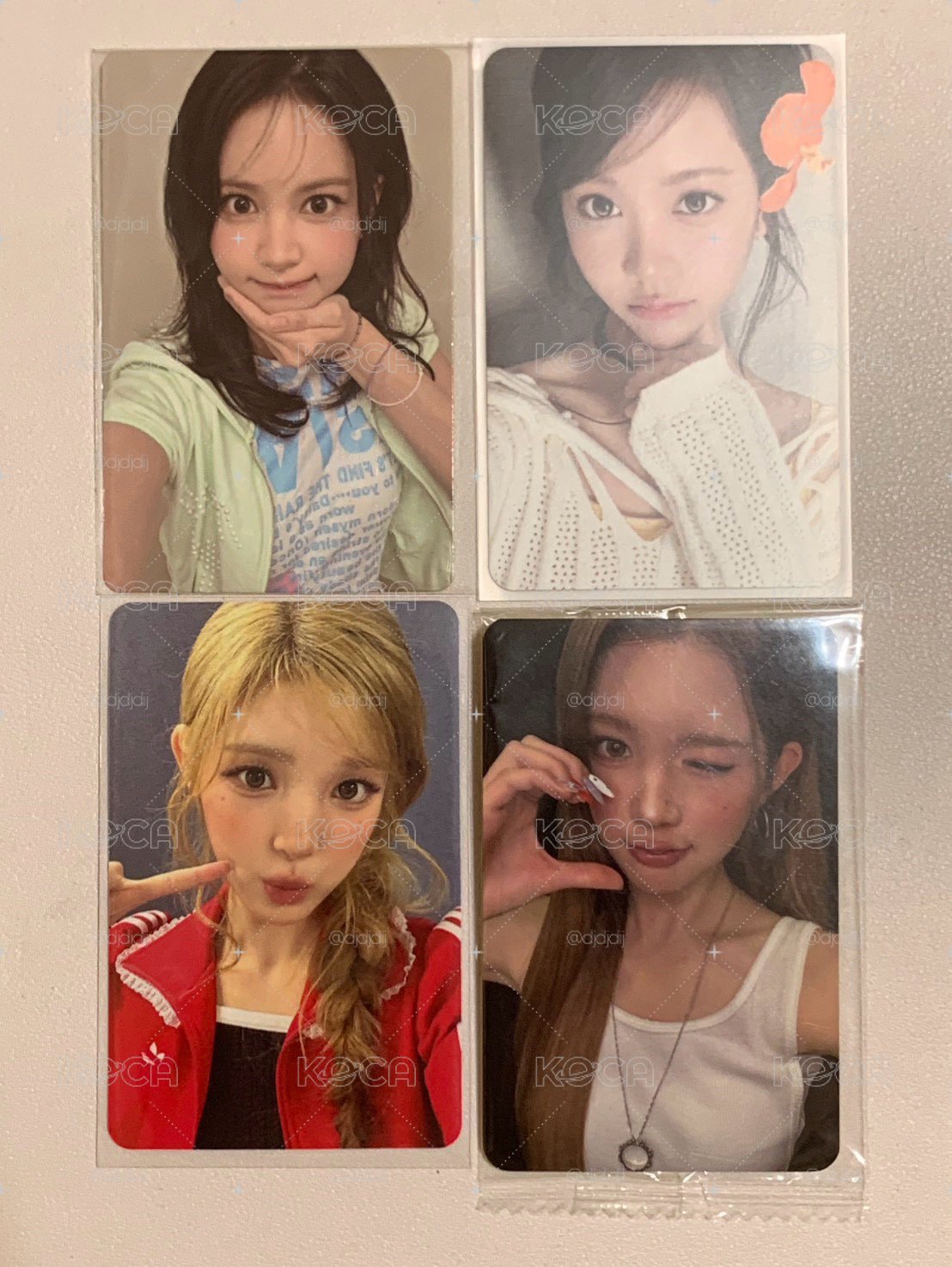 Stella小盤