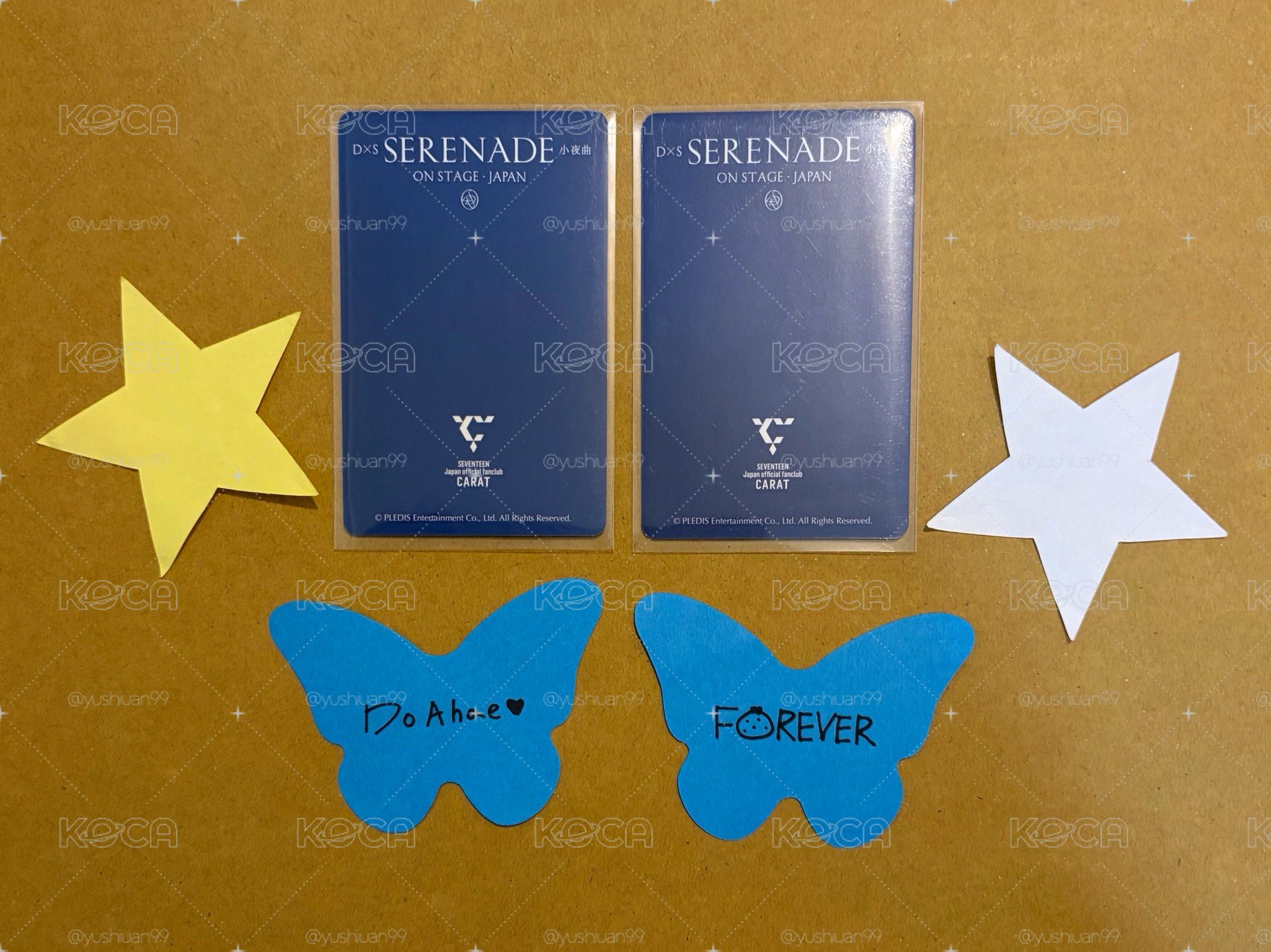 🤍DxS 千葉場 日本續會卡+日場紙花一套