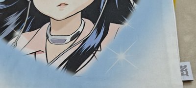 【吊牌未拆+原廠外袋】NewJeans Get Up 插畫風 帆布袋托特包 - Haerin貓貓