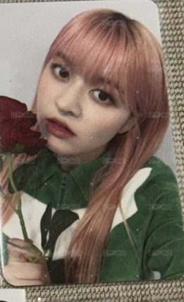 玫瑰莉