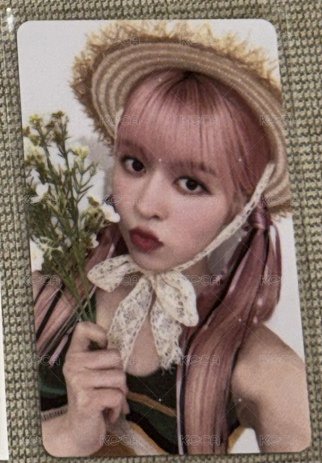 草帽莉